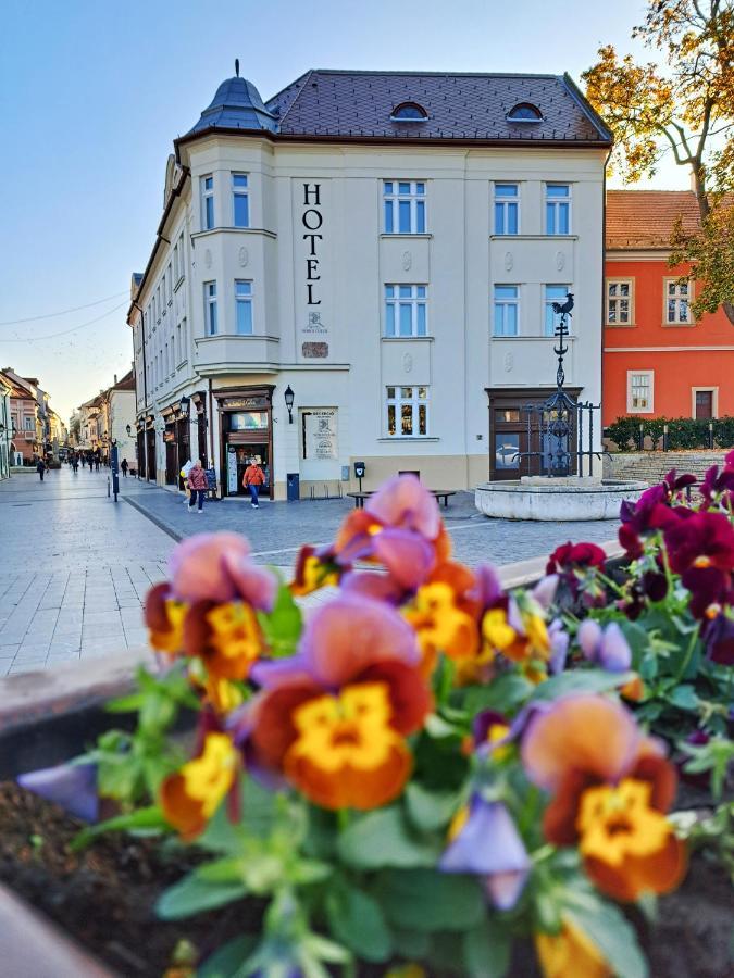 Hotel Domus Collis Győr Buitenkant foto